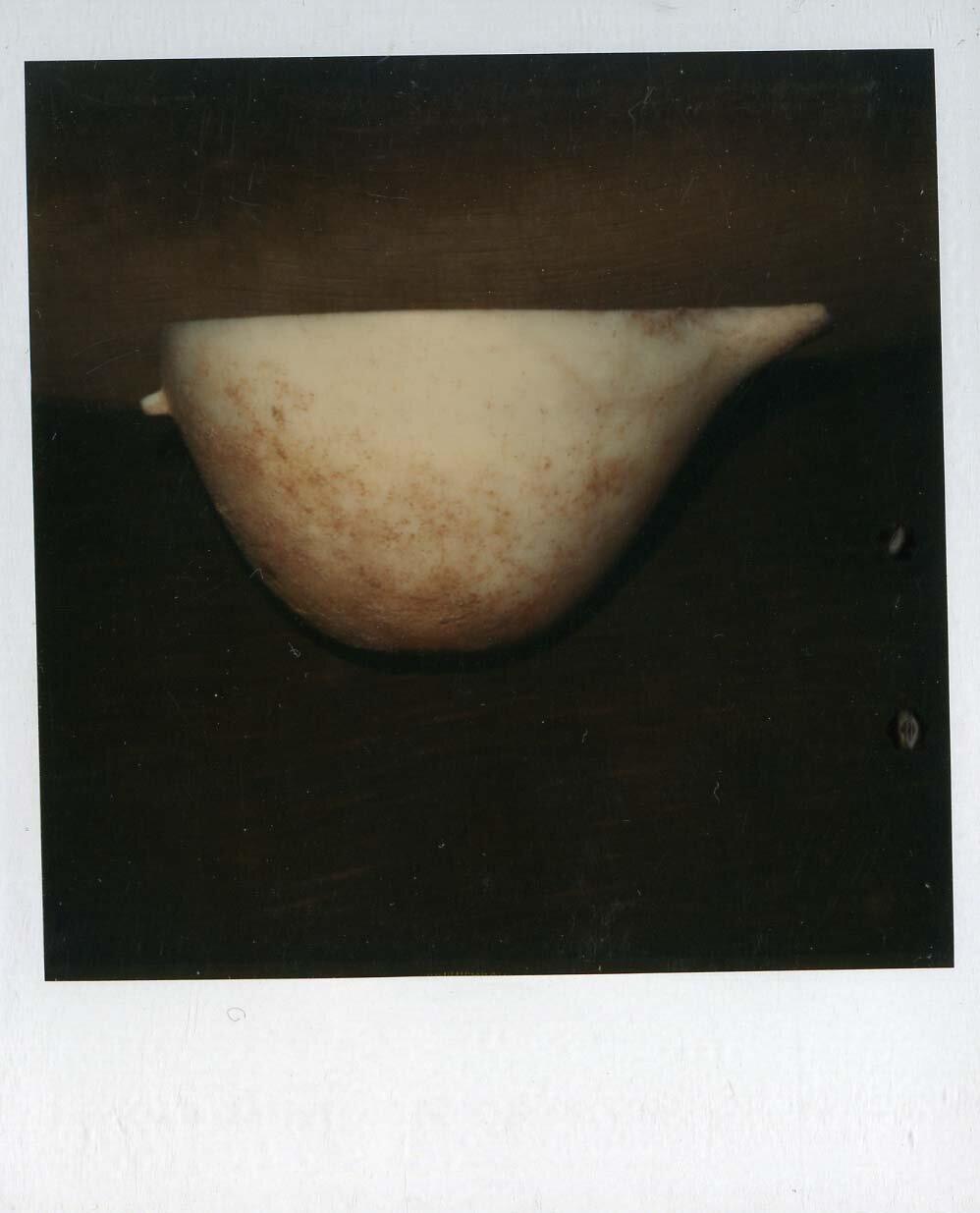 Polaroid