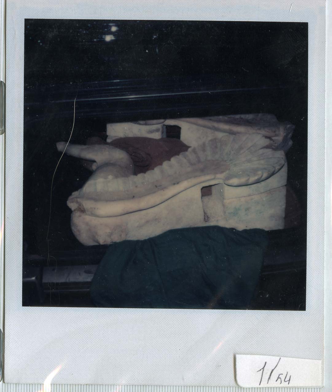 Polaroid