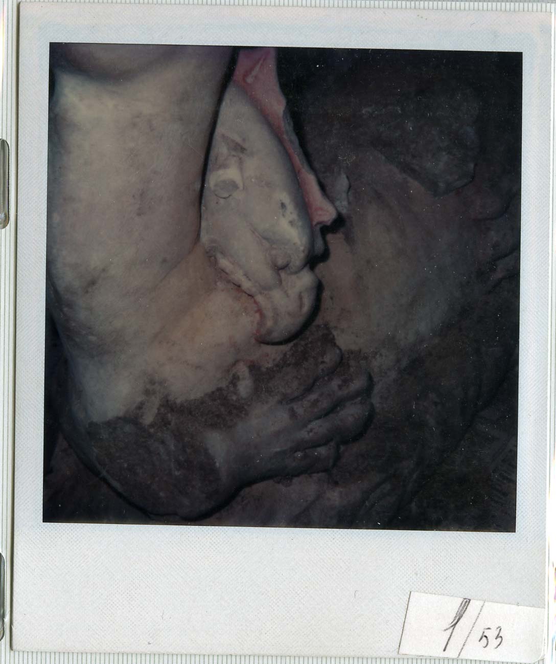 Polaroid
