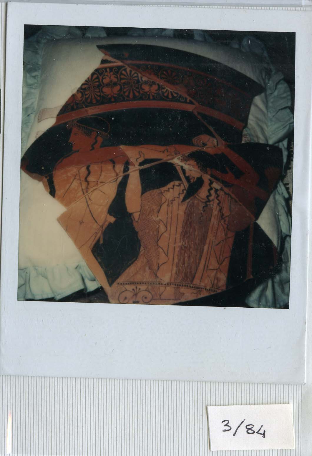 Polaroid