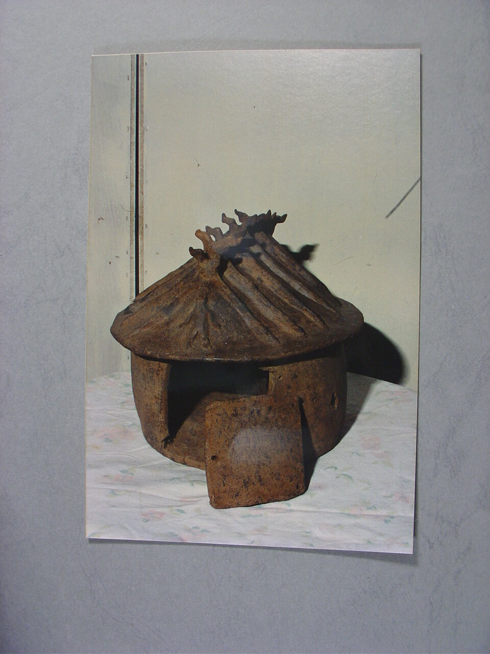 Photograph