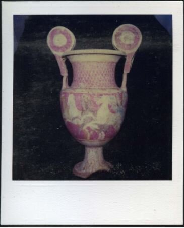 Polaroid