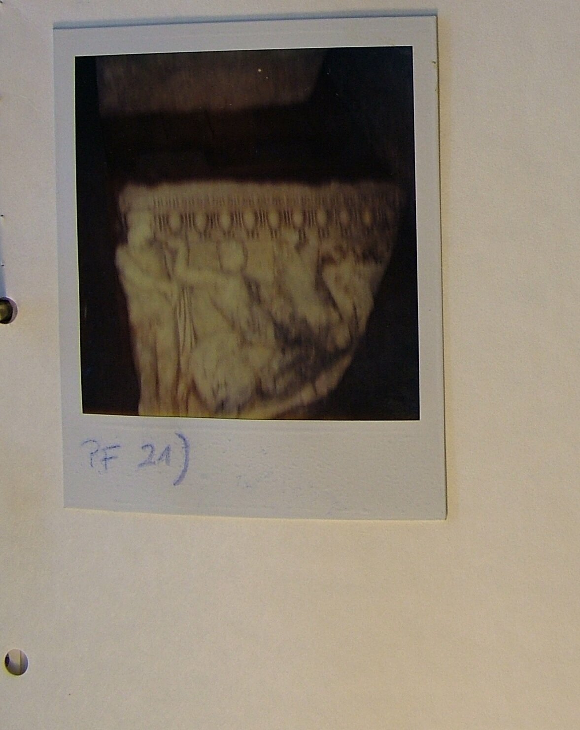 Polaroid