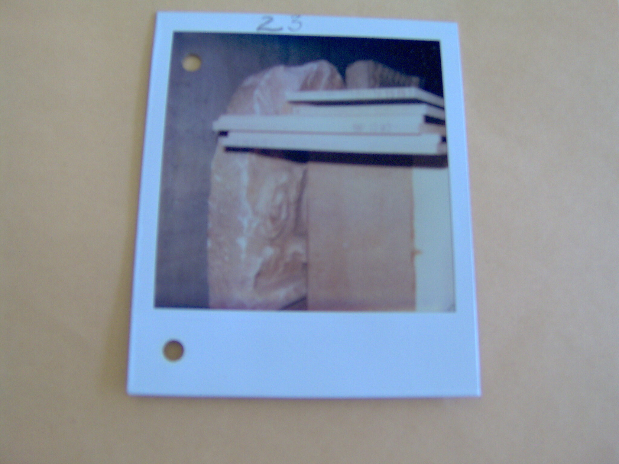 Polaroid