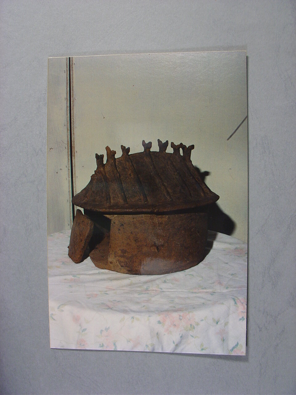 Photograph