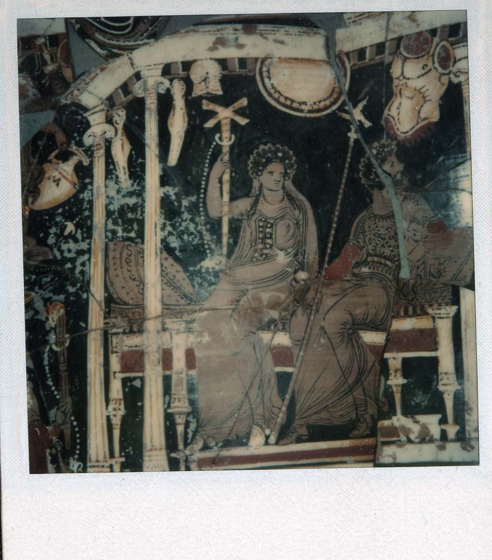 Polaroid