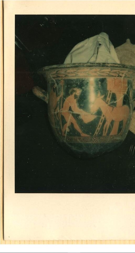Polaroid