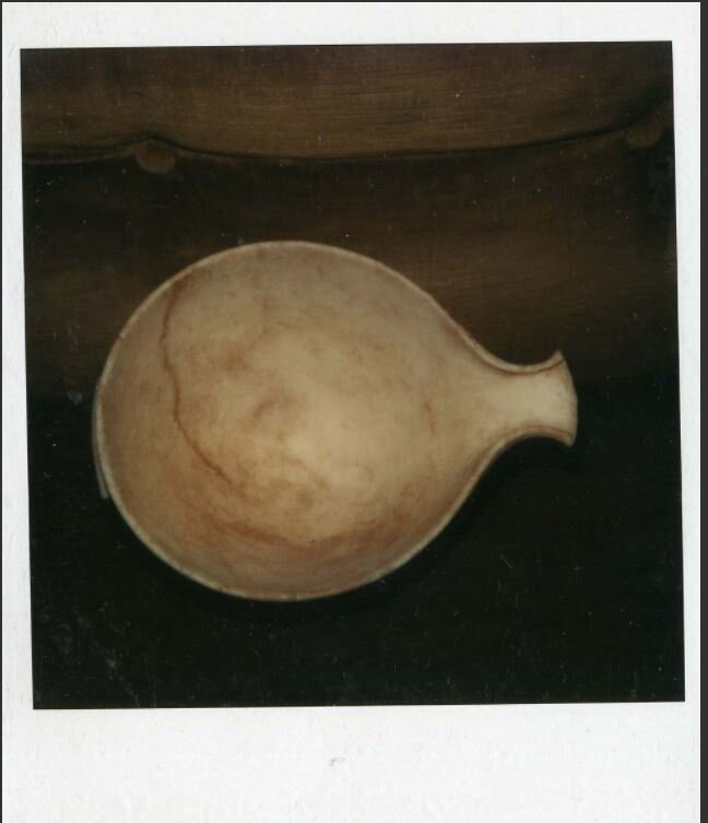 Polaroid