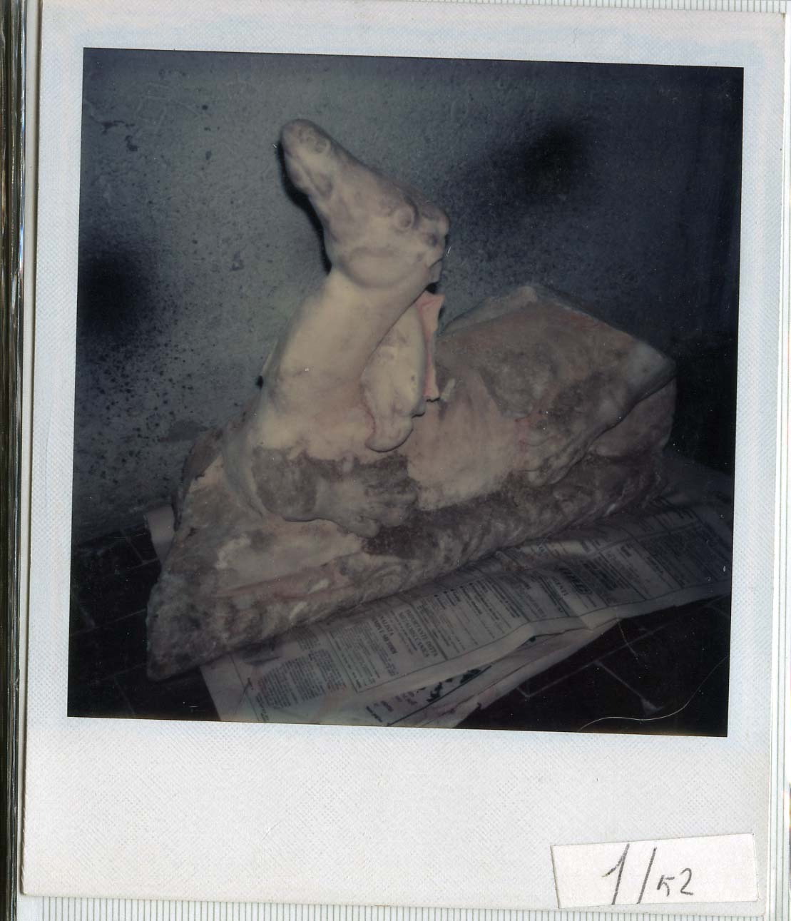 Polaroid