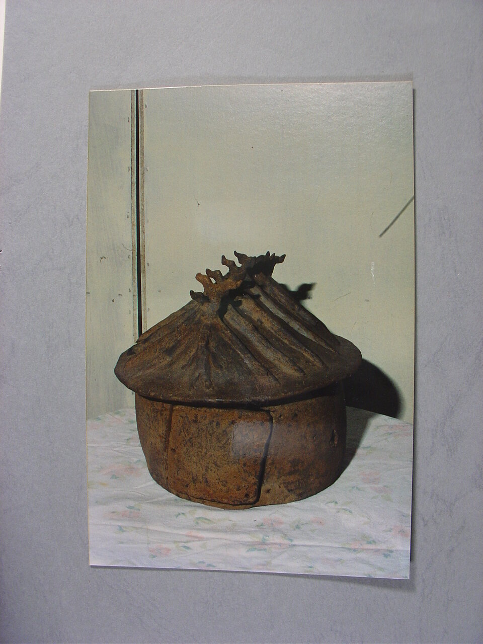 Photograph
