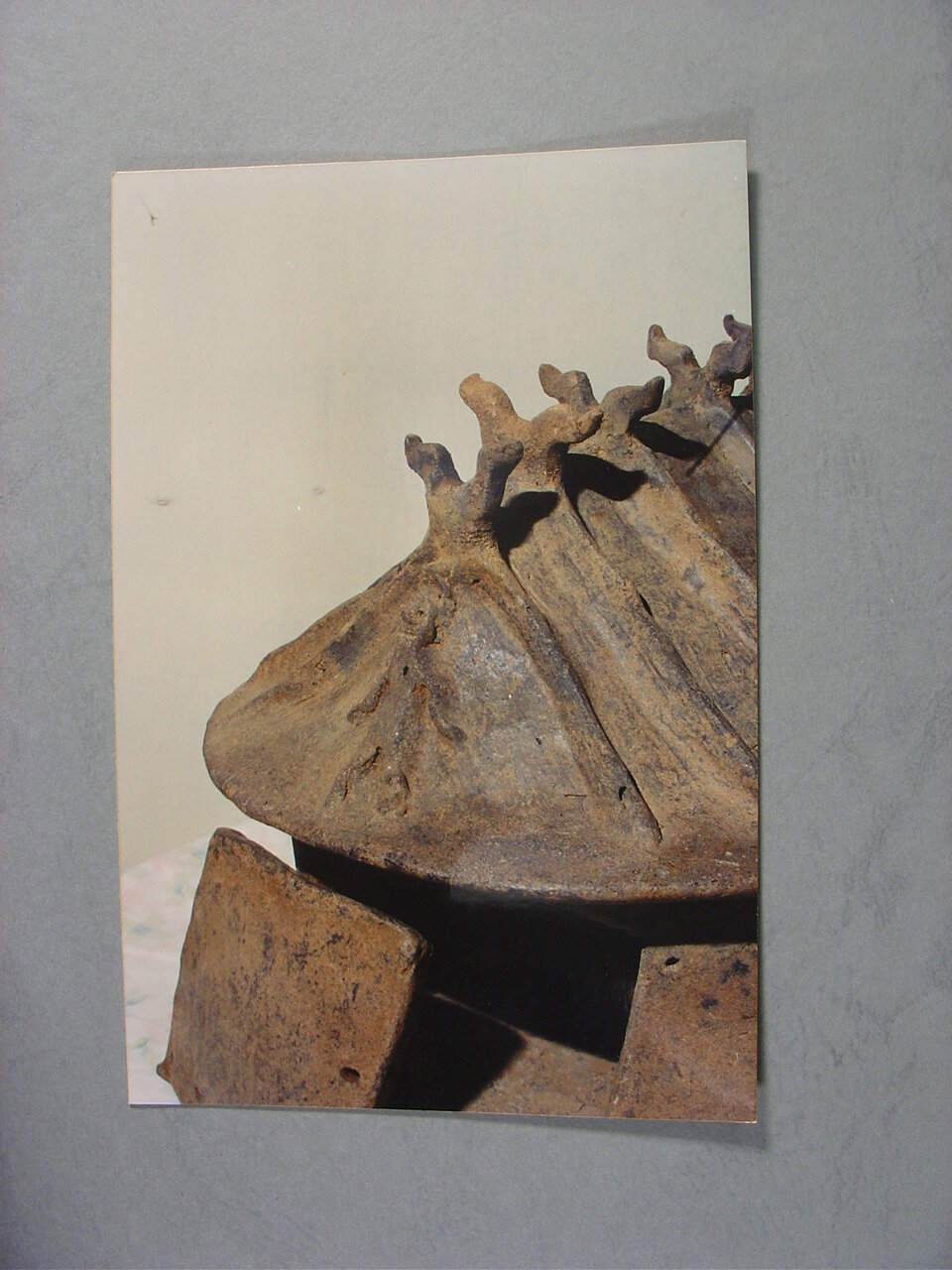 Photograph
