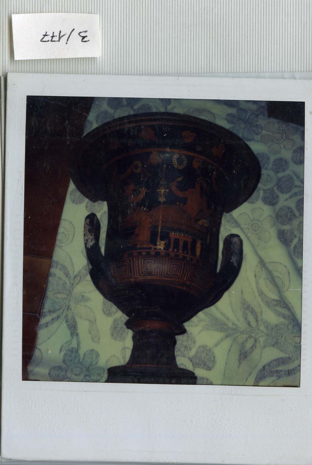 Polaroid